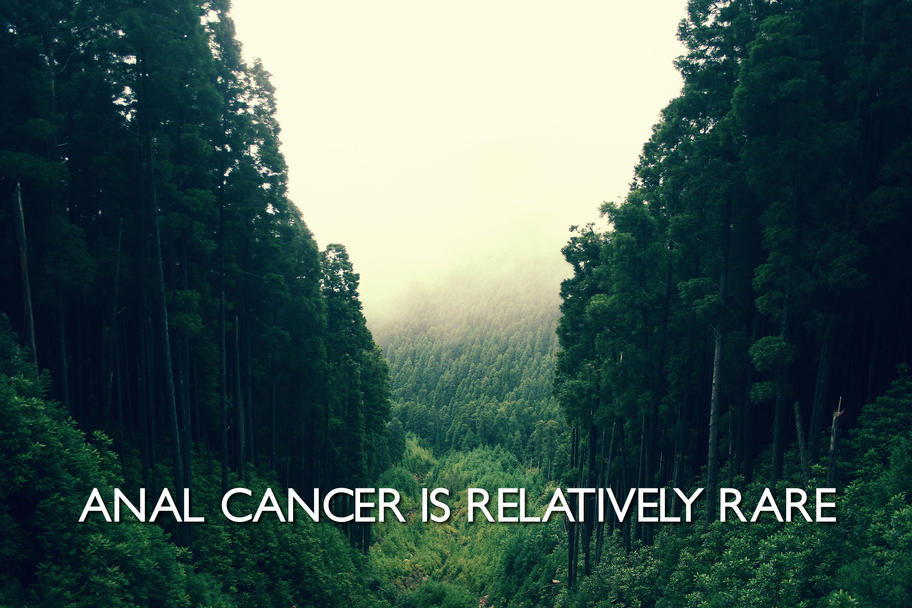 1920 x 1080 HD Wallpapers 3199